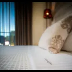 Marajo Apartamento Skala Potamias